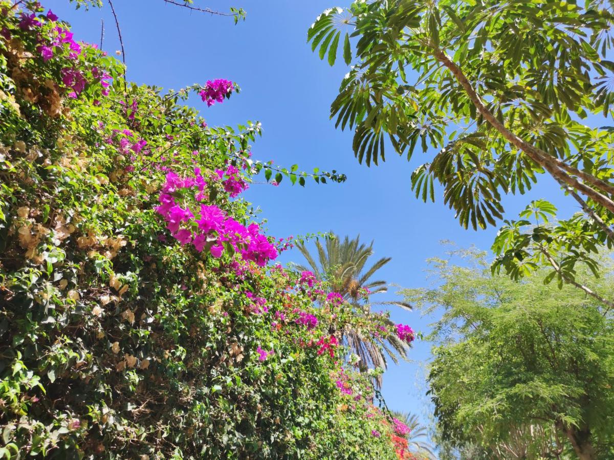 Villa Zinnia Playa Blanca  Bagian luar foto